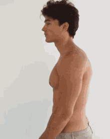 curly muscles curly muscles