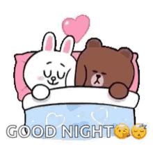 Sweet Dreams Goodnight GIF - Sweet Dreams Goodnight Cony And Brown GIFs