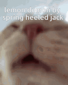 Lemon Demon Cat GIF - Lemon Demon Cat Neil Cicierega GIFs