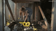 digging flowers