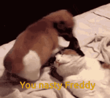 Freddy Nasty GIF - Freddy Nasty Ugly GIFs
