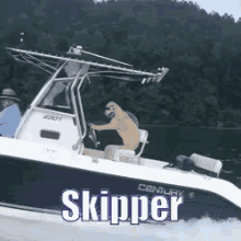 Skipper GIF - Skipper Captain Boat Captain GIFs