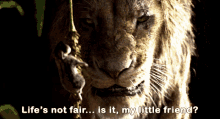 The Lion King Scar GIF - The Lion King Scar Lifes Not Fair Is It My Little Friend GIFs