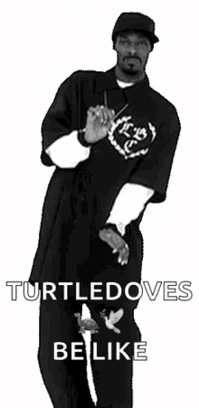 td turtledove turtle