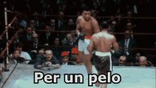 Pugile Pugilato Pugno Lottare Colpire GIF - Boxer Boxing Punch GIFs