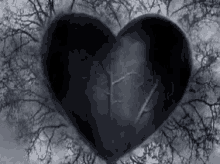 black heart heart heart beat
