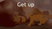 Lion King Get Up GIF - Lion King Get Up Mufassa GIFs