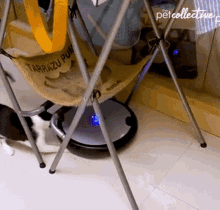 cat attack the pet collective vacuum attac