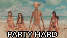 zarbi party hard beach swimsuit