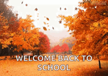 autumn leaves maple trees welcome back to school