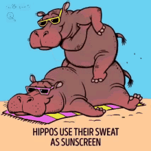 Hippo Sunscreen GIF - Hippo Sunscreen Animal Facts GIFs
