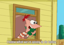Phineas And Ferb I Know GIF - Phineas And Ferb I Know What Were Gonna Do Today GIFs