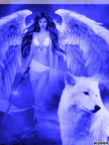 Angel Wolf GIF - Angel Wolf Wings GIFs