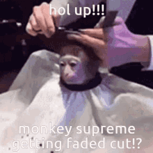 Monkey Supreme Monke GIF - Monkey Supreme Monke Cool Monkey GIFs