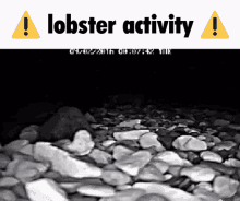 Lobster Lobster Activity GIF - Lobster Lobster Activity GIFs