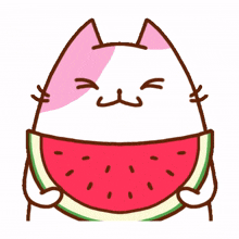 watermelons watermelon fruit %EC%88%98%EB%B0%95 %EA%B3%BC%EC%9D%BC