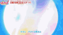 precure cure summer cure coral cure papaya cure flamingo precure cure summer cure coral cure papaya cure flamingo
