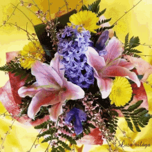 flowers animation flowers animation
