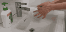 Italian Wash Hands Faucet GIF - Italian Wash Hands Faucet Clean GIFs