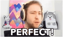 Perfect Comment GIF - Perfect Comment Expression GIFs
