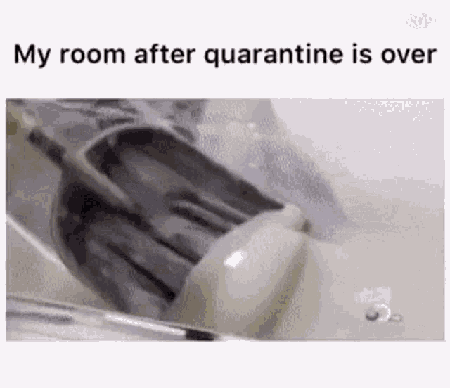 Quarantine After GIF 