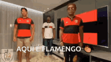 Aquiéflamengo Ivo Meirelles GIF - Aquiéflamengo Flamengo Ivo Meirelles GIFs