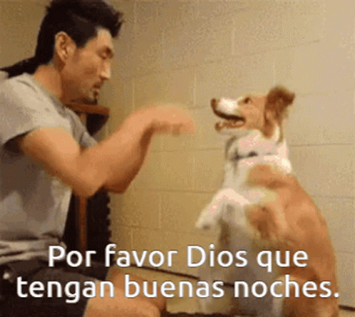 https://c.tenor.com/4Z9JXgfkxVMAAAAC/dios-perro-rezando-hombre-rezando-rezar.gif