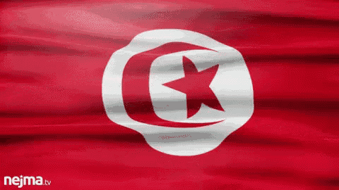 tunisia-tunisie.gif