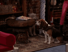 Wizards Of Waverly Place Disney GIF - Wizards Of Waverly Place Disney Dragon GIFs