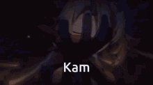 Kam Kamsthetics GIF - Kam Kamsthetics Albedo GIFs