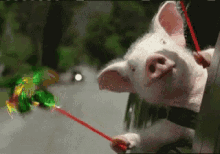 Geico Pig GIF - Geico Pig Pinwheel GIFs