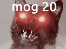Mog Mog20 GIF - Mog Mog20 Gog GIFs