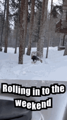Rolling Rollingintotheweekend GIF - Rolling Rollingintotheweekend Weekend GIFs