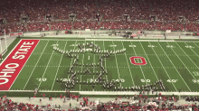 Sometimes The World Is A Beautiful Place GIF - Ohio State Marching Band Tribute GIFs