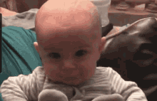Baby Laughing GIF - Baby Laughing Cute GIFs
