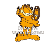 Good Looking Garfield GIF - Good Looking Garfield Handsome GIFs