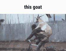 this goat goat this hideki naganuma chungus