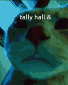 Tally Hall GIF - Tally Hall GIFs