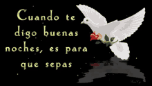 Buenas Noches Dtb GIF - Buenas Noches Dtb Dove GIFs