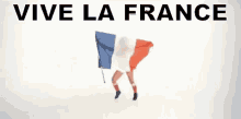 Vive La France GIF - Bleu Blanc Rouge Vive La France France GIFs