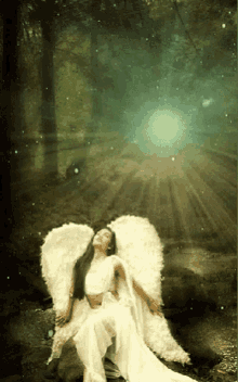 Night Angel GIF - Night Angel Angel Wings GIFs