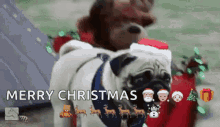 Sleigh Pugs GIF - Sleigh Pugs Santa GIFs