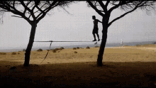 tight rope walking balance seco3 alfonseco alfonsoelmas tight rope walking balance seco3 alfonseco alfonsoelmas