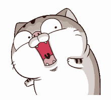 ami fat cat shocked what huh surprised