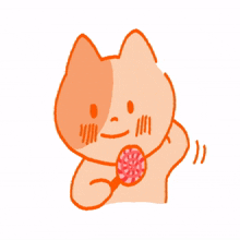 animals orange cat candy cute animals orange cat candy cute
