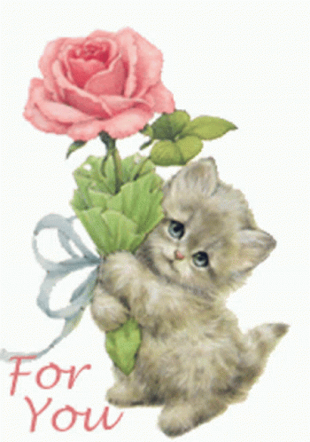 For You Cute Cat GIF - For You Cute Cat Cat GIFs