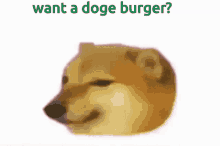Doge Doge Burger GIF - Doge Doge Burger Dog Doge GIFs