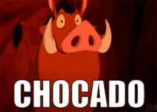 Pumba Chocado Decara GIF - Pumbaa Shocked Impressed GIFs