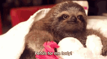 Petals For Me Lady! GIF - Sloth Love I Love You GIFs