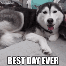 Best Day Ever Greatest Day GIF - Best Day Ever Greatest Day Best Day GIFs
